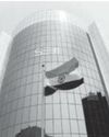 Sebi mulls steps to limit finfluencers' influence15