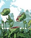 Opium, history and economics18
