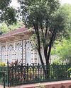 Santiniketan chronicles: Unesco tag adorns the idyllic haven
