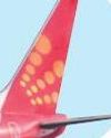 Struggling to stay afloat, SpiceJet tells Delhi HC10
