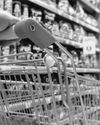 HUL's growth checkout: Navigating the low-volume aisle in Q3 HUL's growth checkout: Navigating the low-volume aisle in Q334