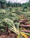 Surge in cyclones: 2.9 mn at risk in Andhra Pradesh Surge in cyclones: 2.9 mn at risk in Andhra Pradesh44