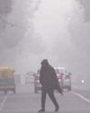 Over 800 deaths a year due to cold since 201339