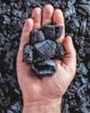 India's coal output crosses a billion tonnes in 2024-252