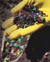 Hazardous, Construction Waste Disposal Norms Set to Tighten49