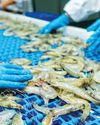 Shrimp traders fear $1 bn loss as long-term US contracts face heat14