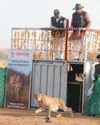 Gandhi Sagar Sanctuary Now New Home to Cheetahs in India Gandhi Sagar Sanctuary Now New Home to Cheetahs in India