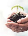 Mission LIFE May Be Merged Into National Action Plan On Climate Change Mission LIFE May Be Merged Into National Action Plan On Climate Change
