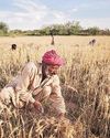 Farm sector outpaces manufacturing19
