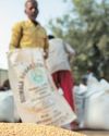 Procurement of rice, wheat and total on marketing year basis (in million tonnes)25