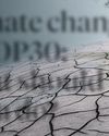 Climate change at COP30: What should India do?45
