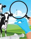 AMR crisis: Govt steps up vigil on antibiotic use in animals4
