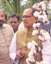 Will talk to environment ministry on HtBt cotton issue: Chouhan28