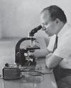 Scientist of the soil36