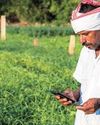 KCC Accounts in PSBs Down 1.8% in FY25 KCC Accounts in PSBs Down 1.8% in FY2515