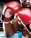 Domestic stocks on the ropes as tariffs land heavy punches Business Standard
