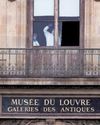 Inside the Louvre museum heist that shocked the world Business Standard