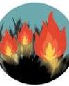 Satellites missing 90% of farm fires in Punjab, Haryana: Report16