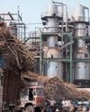 State's sugar industry grows by leaps and bounds56
