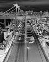 Exim cargo at India's ports fell by 2% in April8
