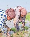 Nearly 70% new e-Shram registrations are women58