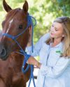 Animal Behaviorist Animal Behaviorist