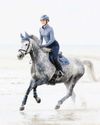 Beach Riding Beach Riding