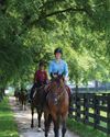 Young Rider