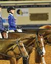 AMERICAN QUARTER HORSE AMERICAN QUARTER HORSE