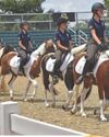 Drill Team Dream Young Rider