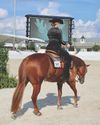 Young Rider