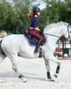 Young Rider