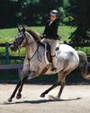 Young Rider