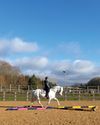 Young Rider