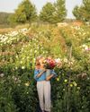 CUT FLOWER Farming