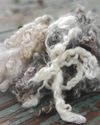 Natural Fibers7