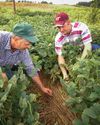 Hobby Farms