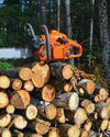 FIREWOOD for Your Farm8