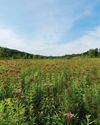 Hobby Farms