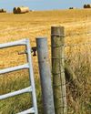 FENCE & GATE REPAIR Hobby Farms