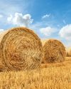 HAY STORAGE7
