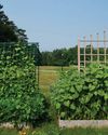 Hobby Farms