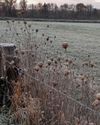 Hobby Farms