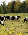 Hobby Farms