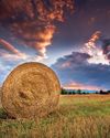 Hobby Farms