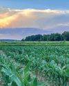 Hobby Farms