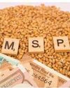 एमएसपी का लाभ नहीं उठा पाते ज्यादा किसान एमएसपी का लाभ नहीं उठा पाते ज्यादा किसान
