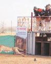 मध्य प्रदेश में चीतों को मिला नया घर मध्य प्रदेश में चीतों को मिला नया घर