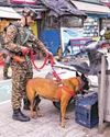 'आतंक के खिलाफ भारत के साथ' 'आतंक के खिलाफ भारत के साथ'