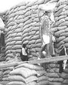 तीन माह का राशन एक साथ दे सकती है केंद्र सरकार तीन माह का राशन एक साथ दे सकती है केंद्र सरकार